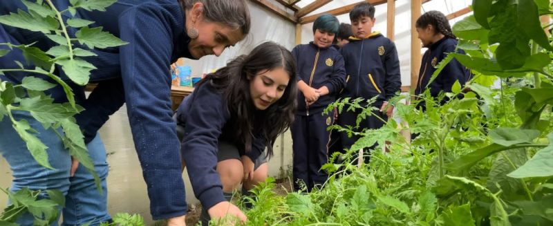 huerto ecologico colegio bicentenario santa teresa de los andes puerto aysen sur de chile ssvp