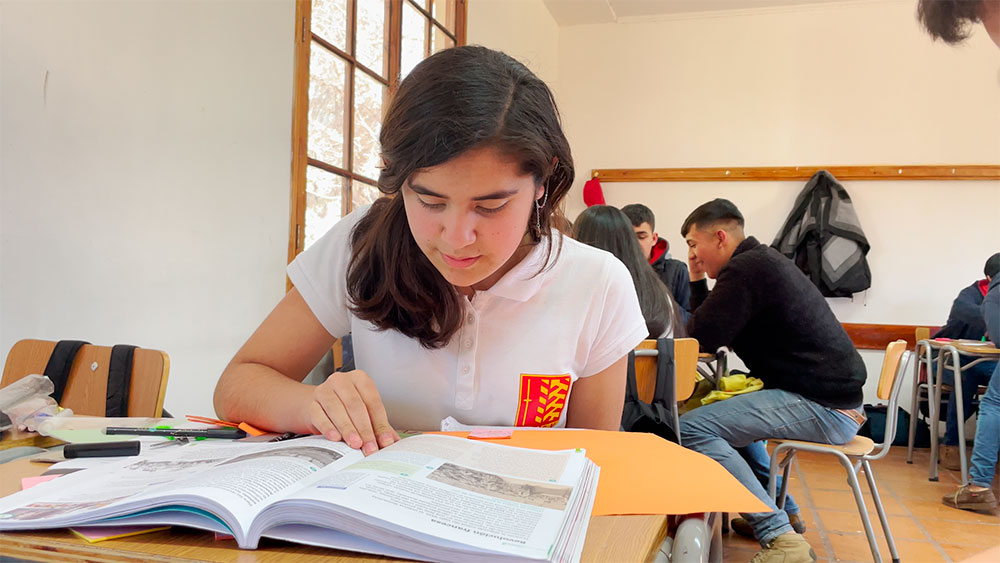 Liceo Bicentenario Escuela Agrícola San Vicente de Paul Coltauco