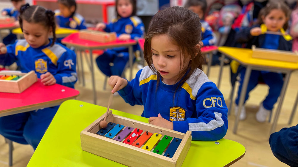 Colegio Federico Ozanam puerto montt